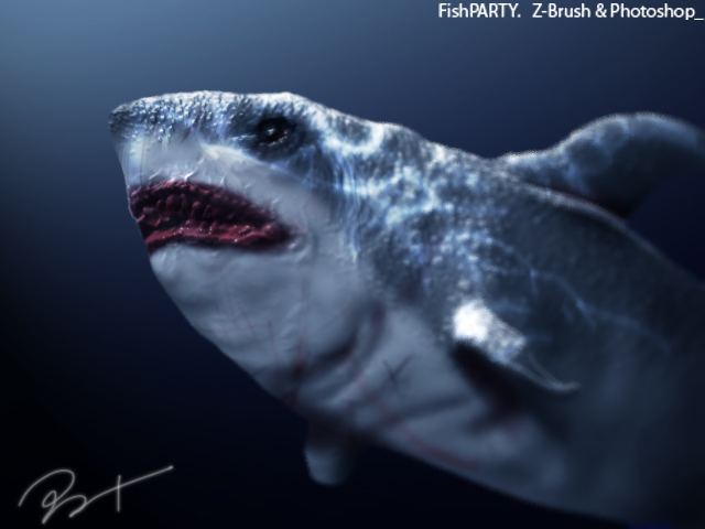 shark.jpg
