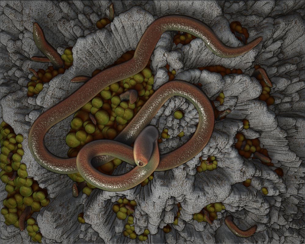 nest05.jpg