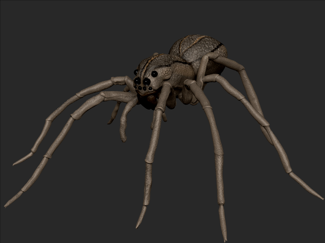 SpiderRenderHD.jpg
