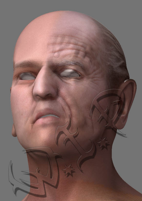 WIP v2.jpg