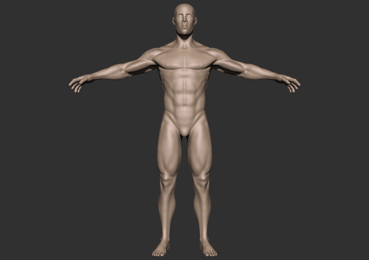 bodybuilder_front.jpg
