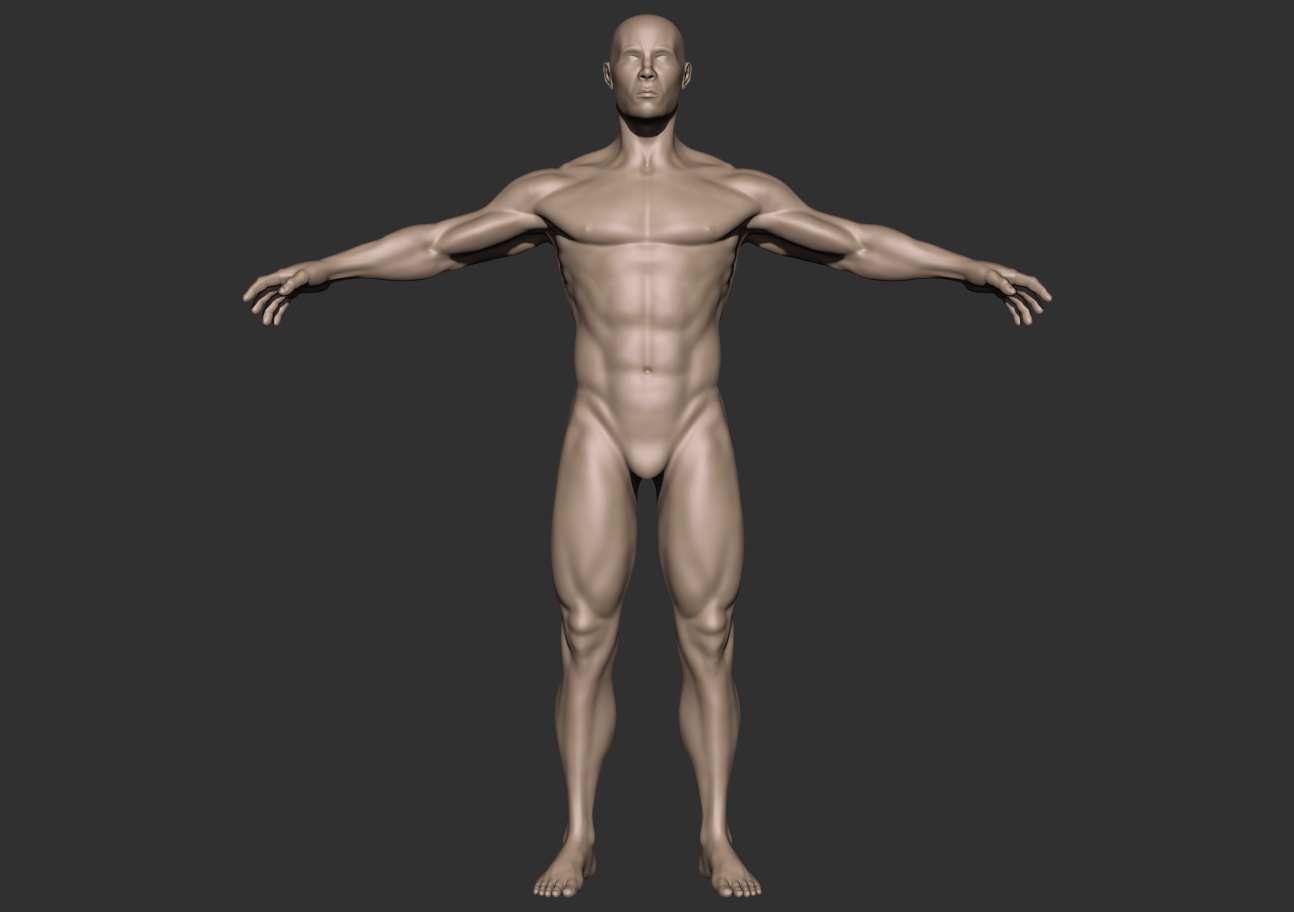 bodybuilder_front.jpg