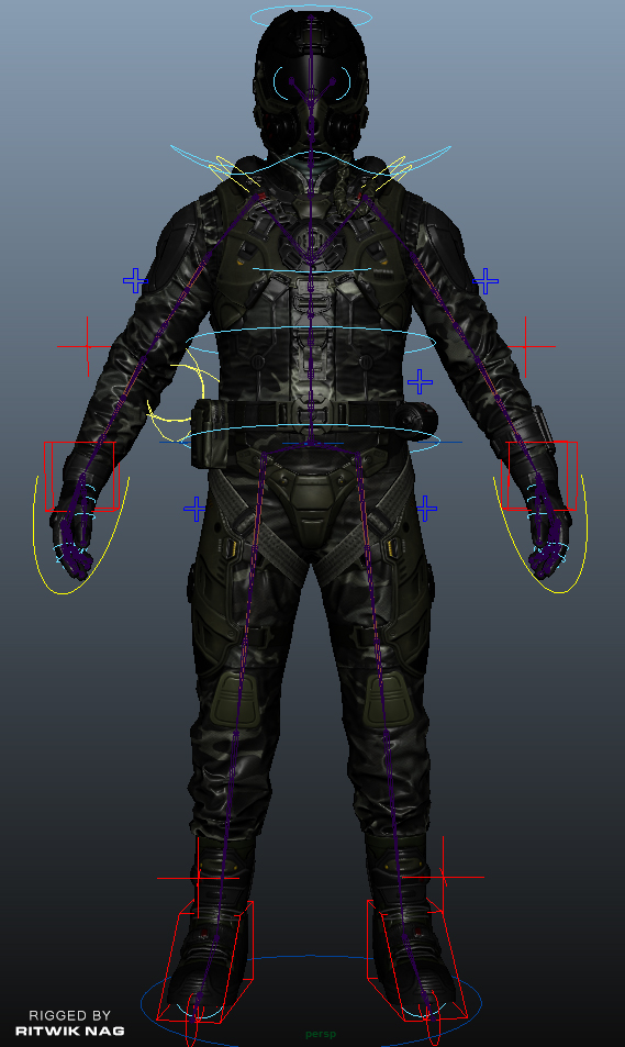 Rig.JPG