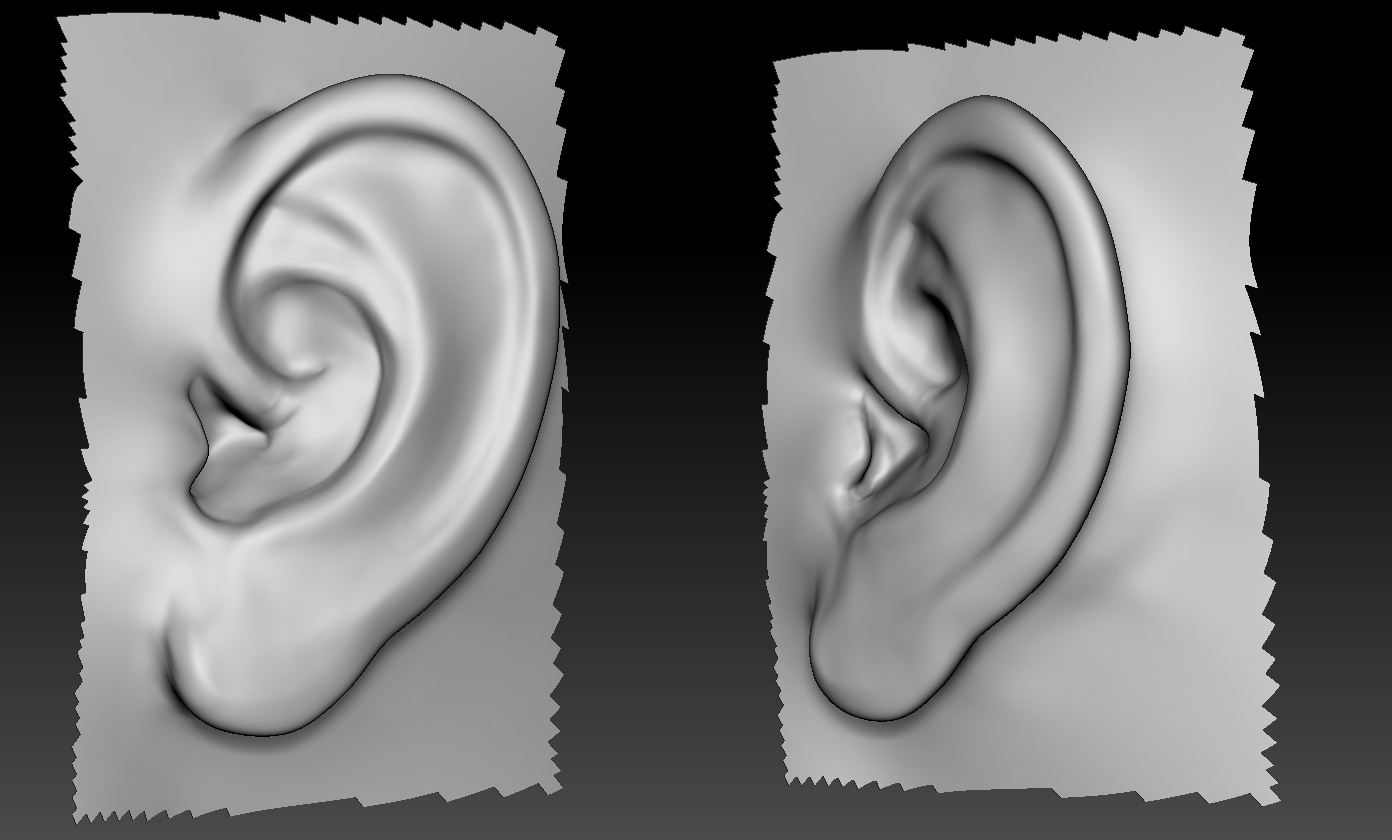 ear.jpg