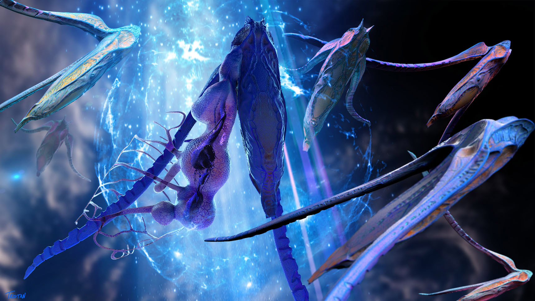 Space_Farer_1_WEB.jpg