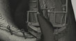 ZBC_THUMB.jpg