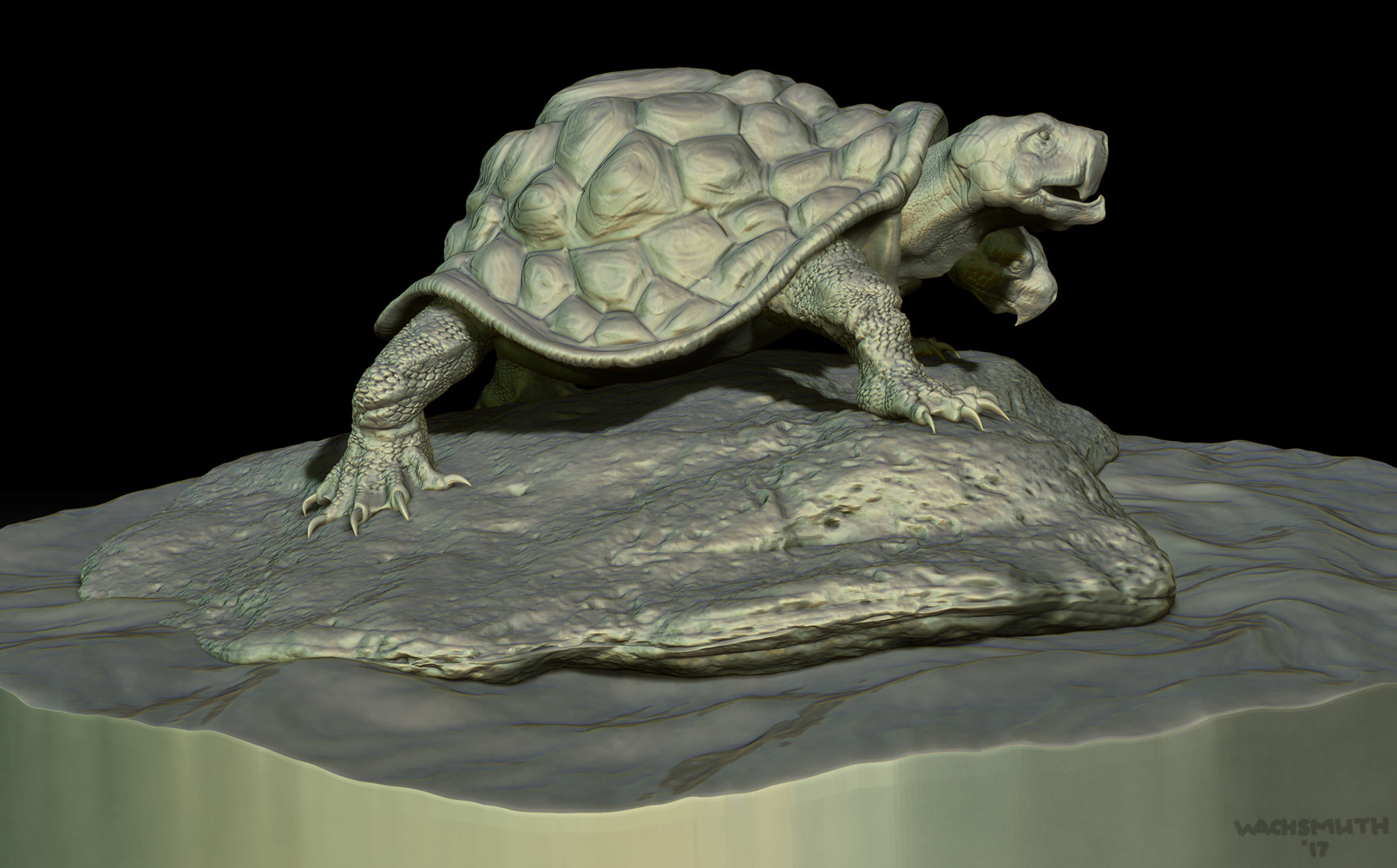 turtle_view_03_4web.jpg