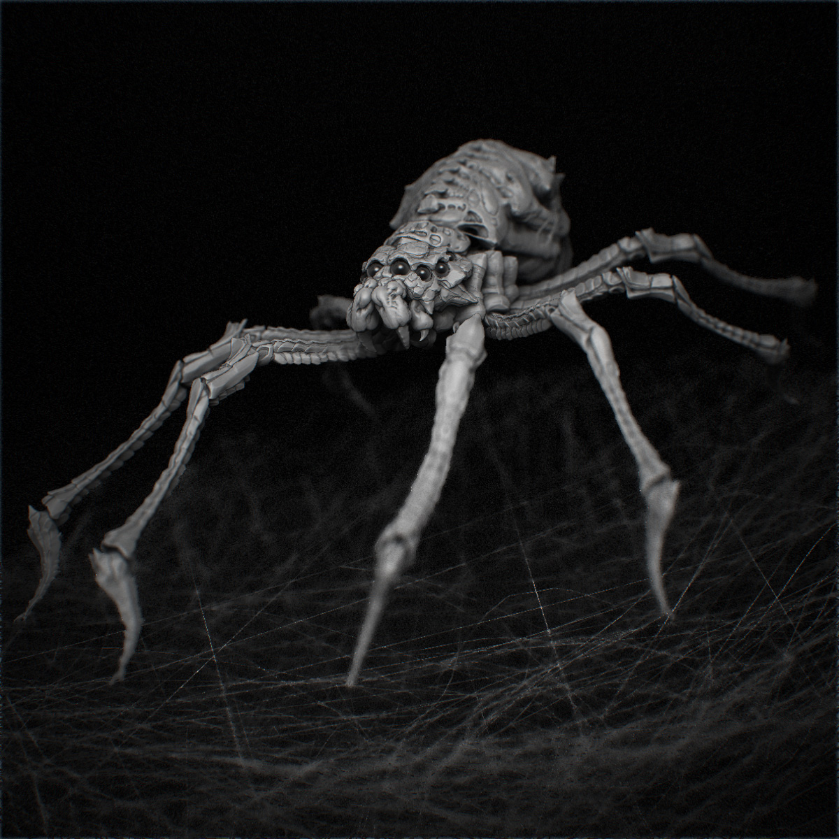 spider_01.jpg