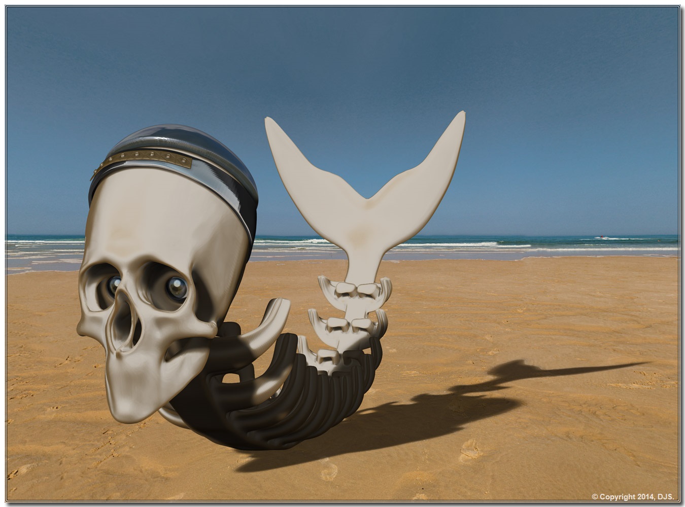 SandFishSkull_3.jpg