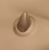blended_horn.jpg