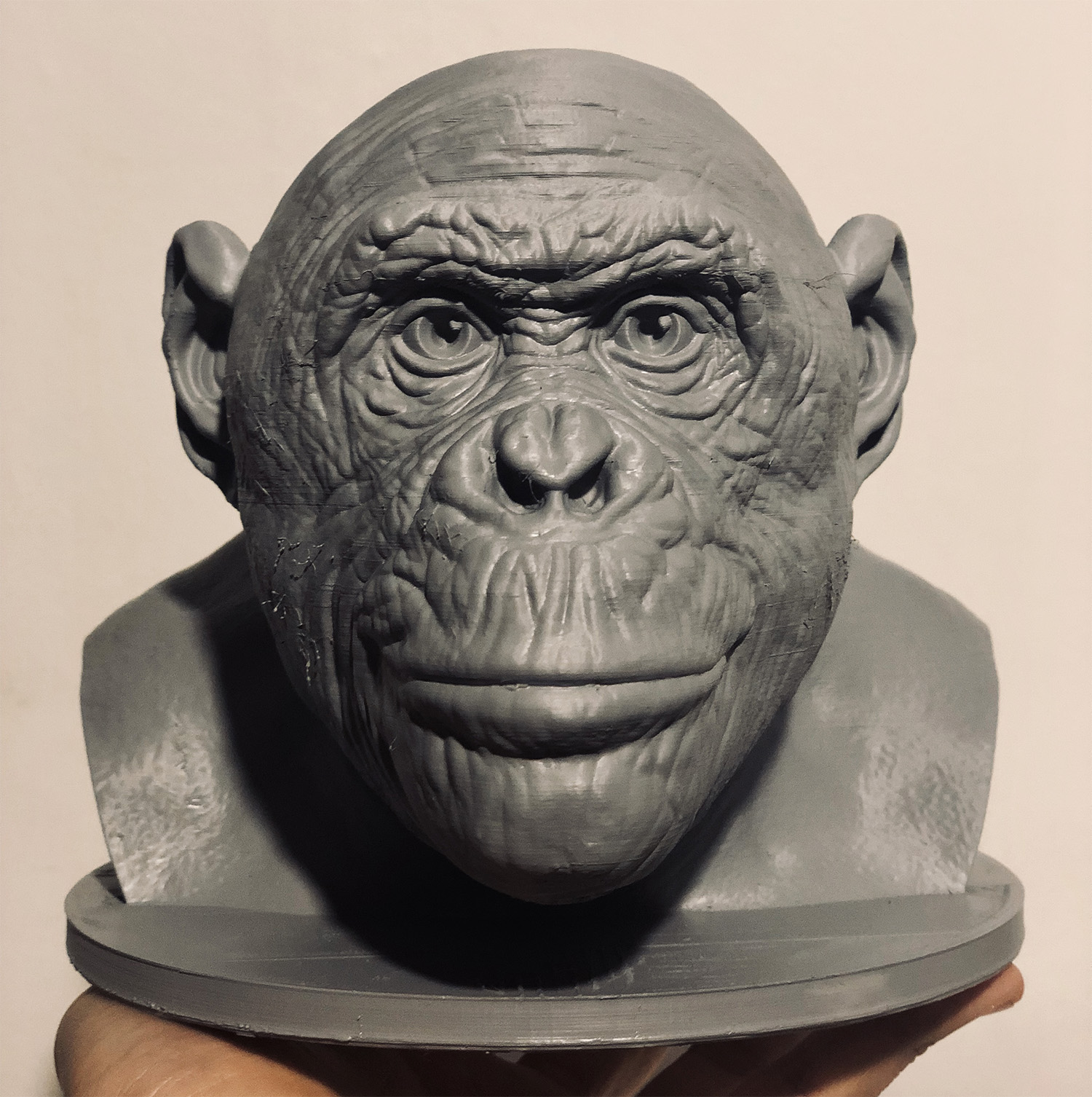 bonobo_b