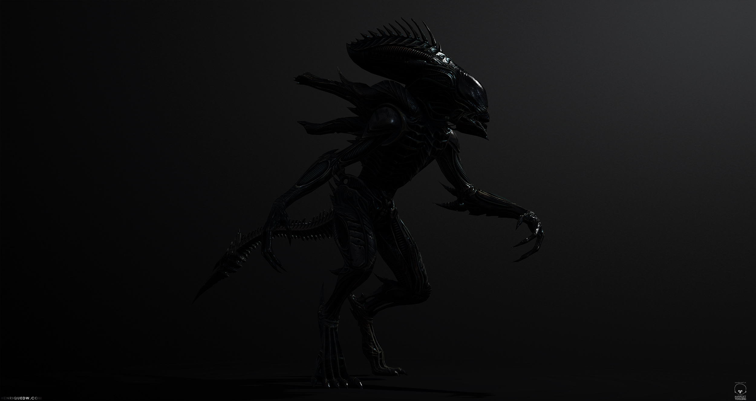 Raven_003.jpg