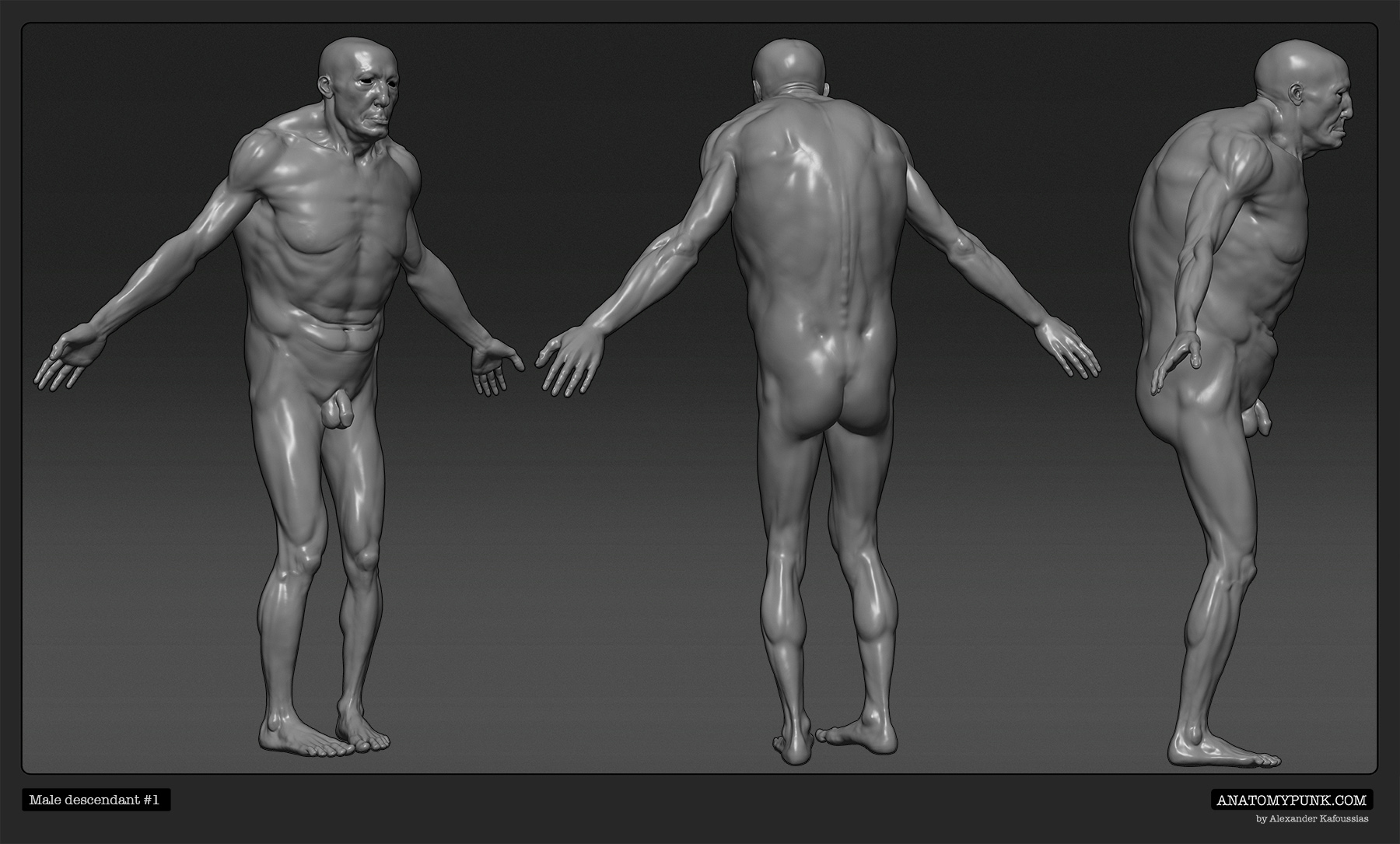 MaleDescendant1_spin_Anatomypunk.jpeg
