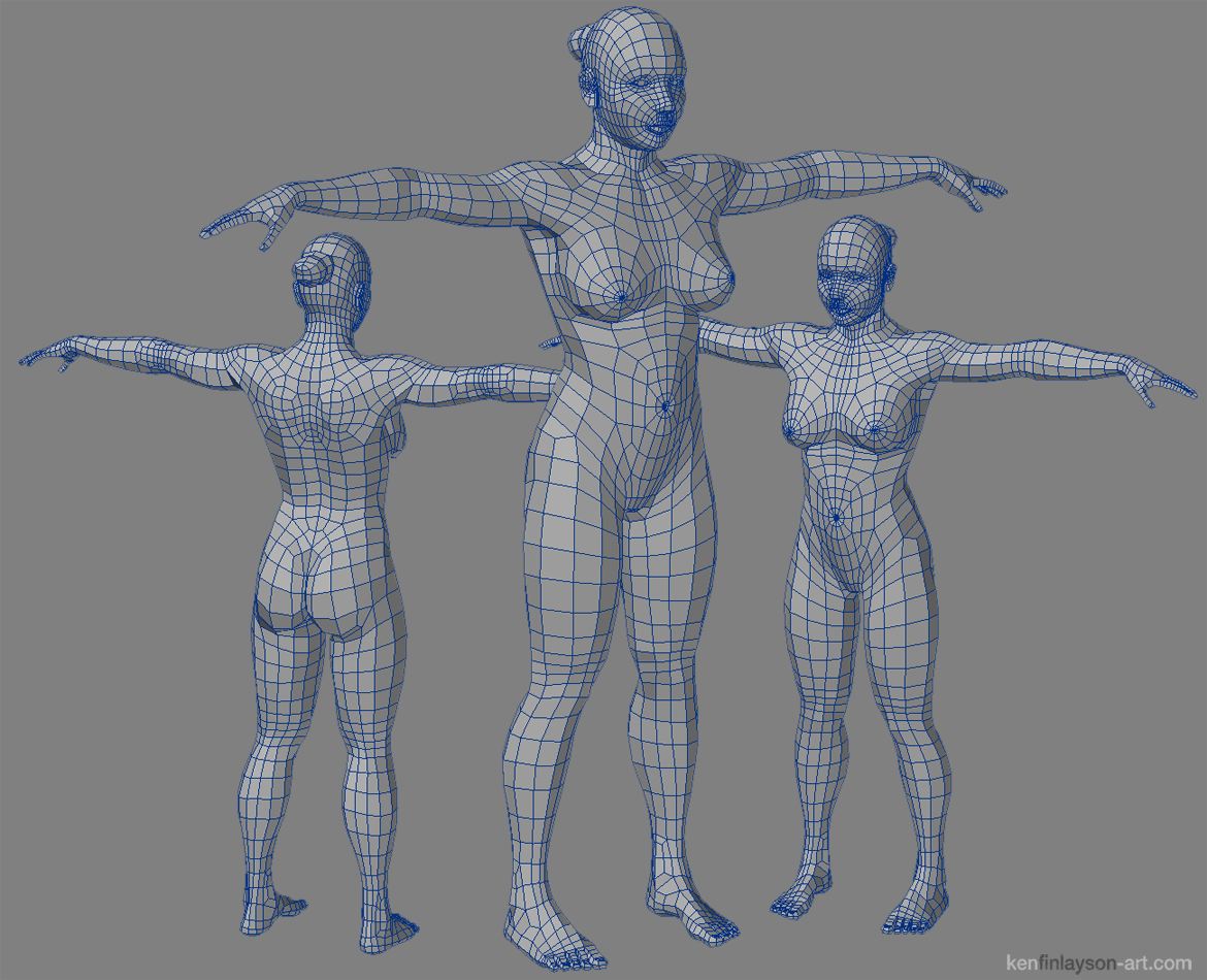 Anatomical_woman_LW_wires.jpg