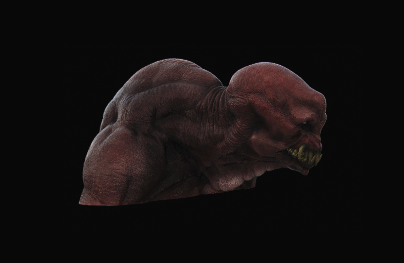 personal_headCOL01.jpg