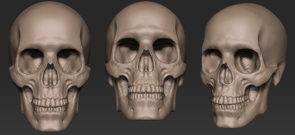corpse_skull_6.jpg