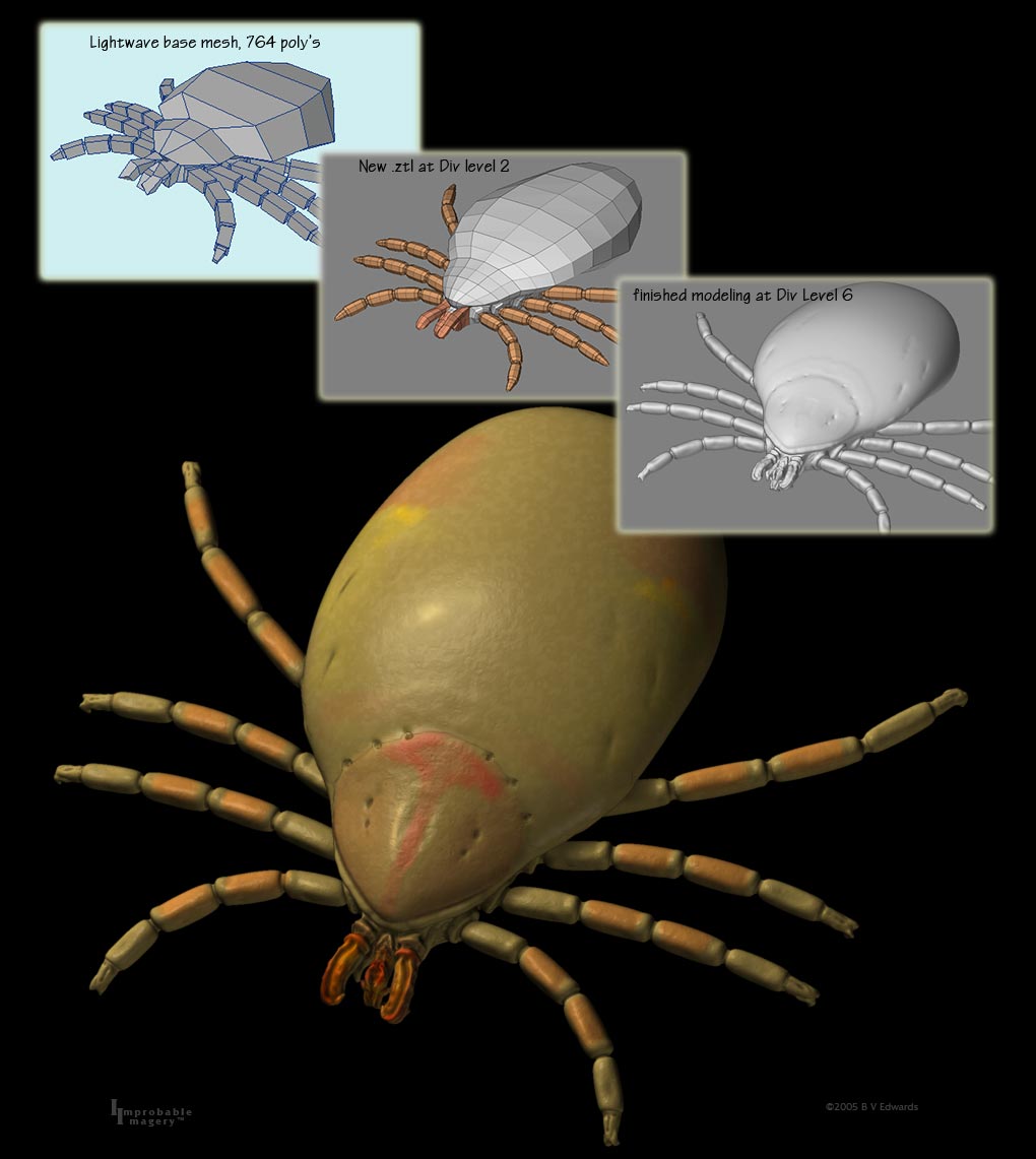 CRHQ_tick1.jpg