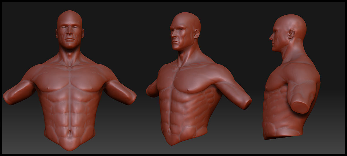 AthleticMale_Front_WIP_001.jpg