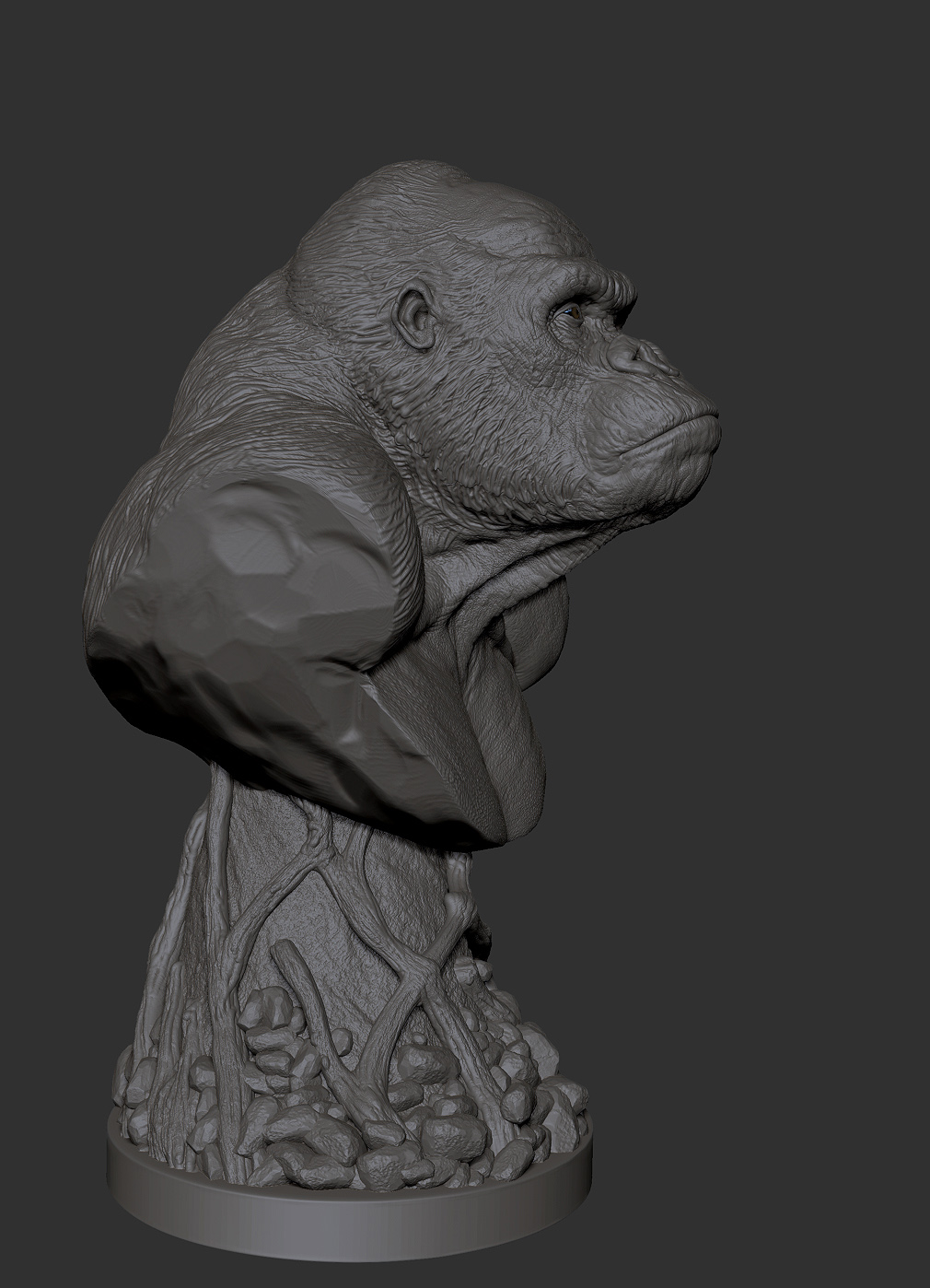 ape 002.jpg