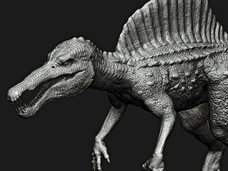spinedoc12.jpg