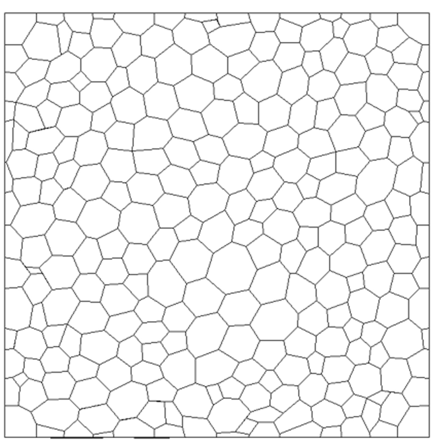 Texture Vector File.jpg
