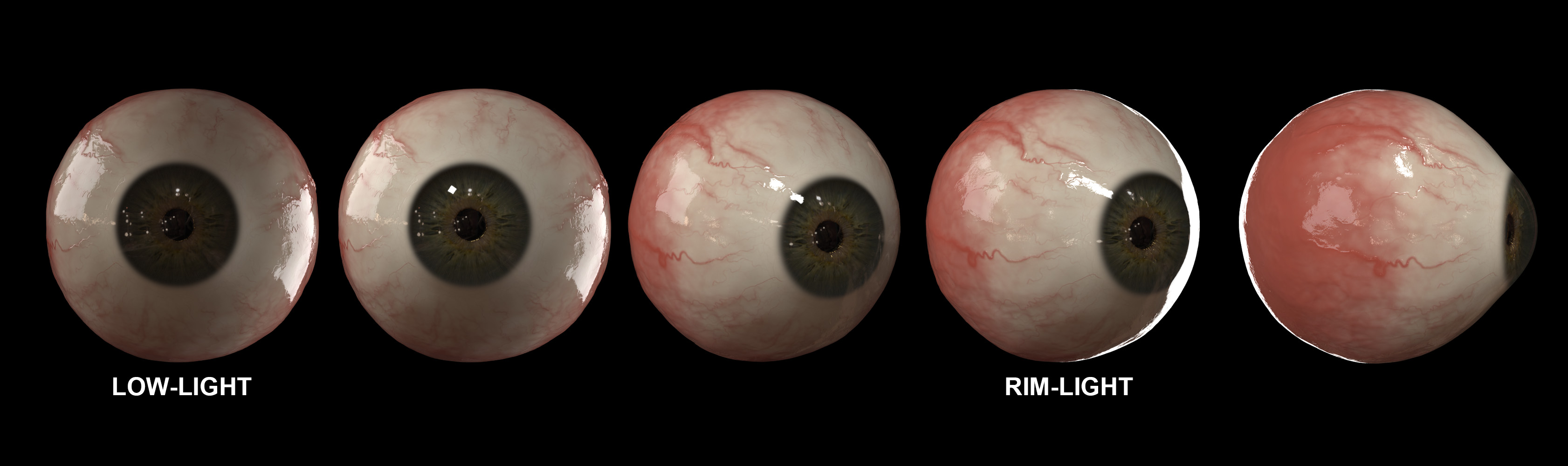eye1.jpg