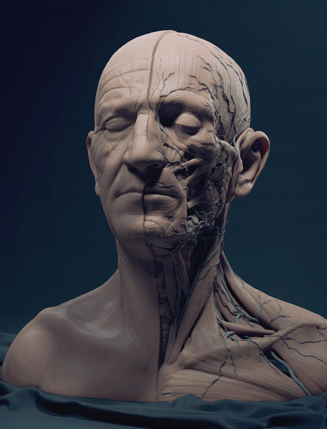 head_final_03.jpg