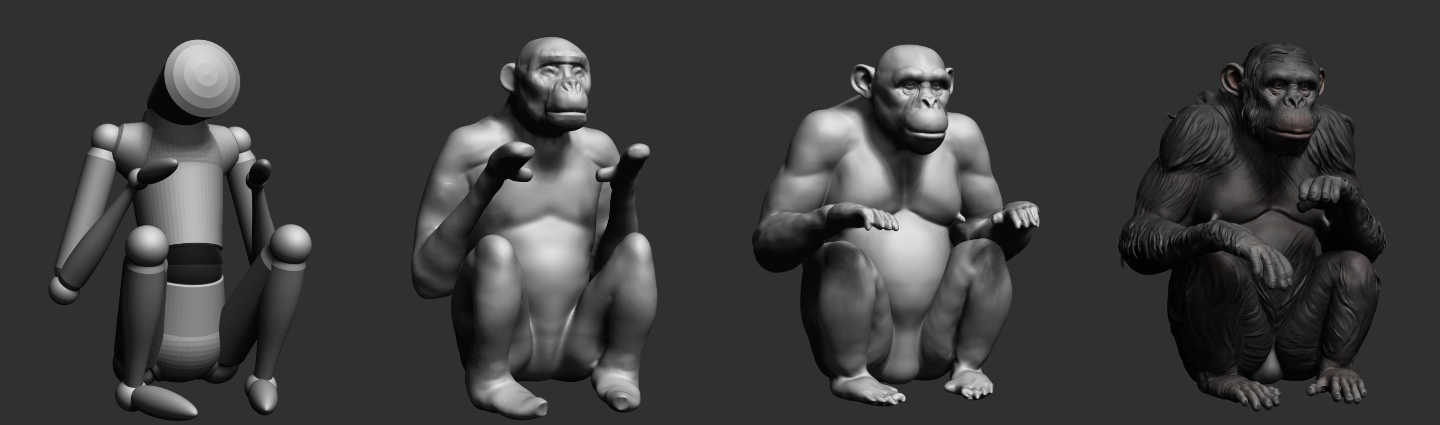 chimp_process.jpg