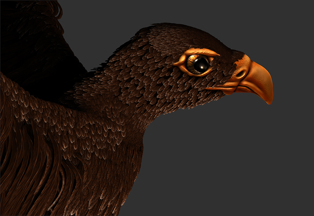 Eagle-test-10.jpg