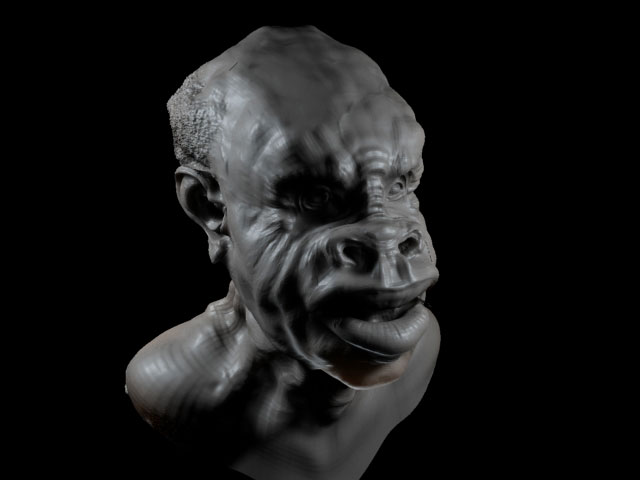 ape