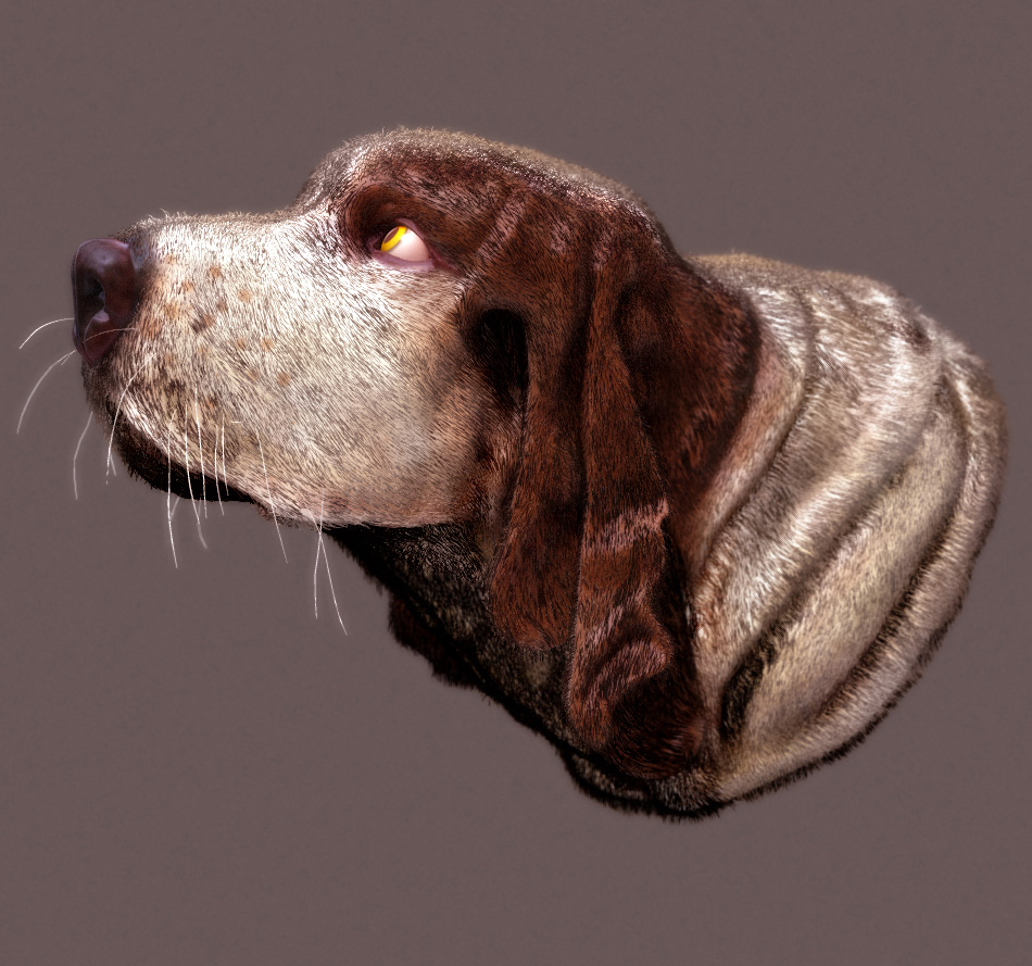 dog2.jpg