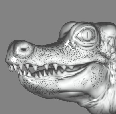 croco.jpg