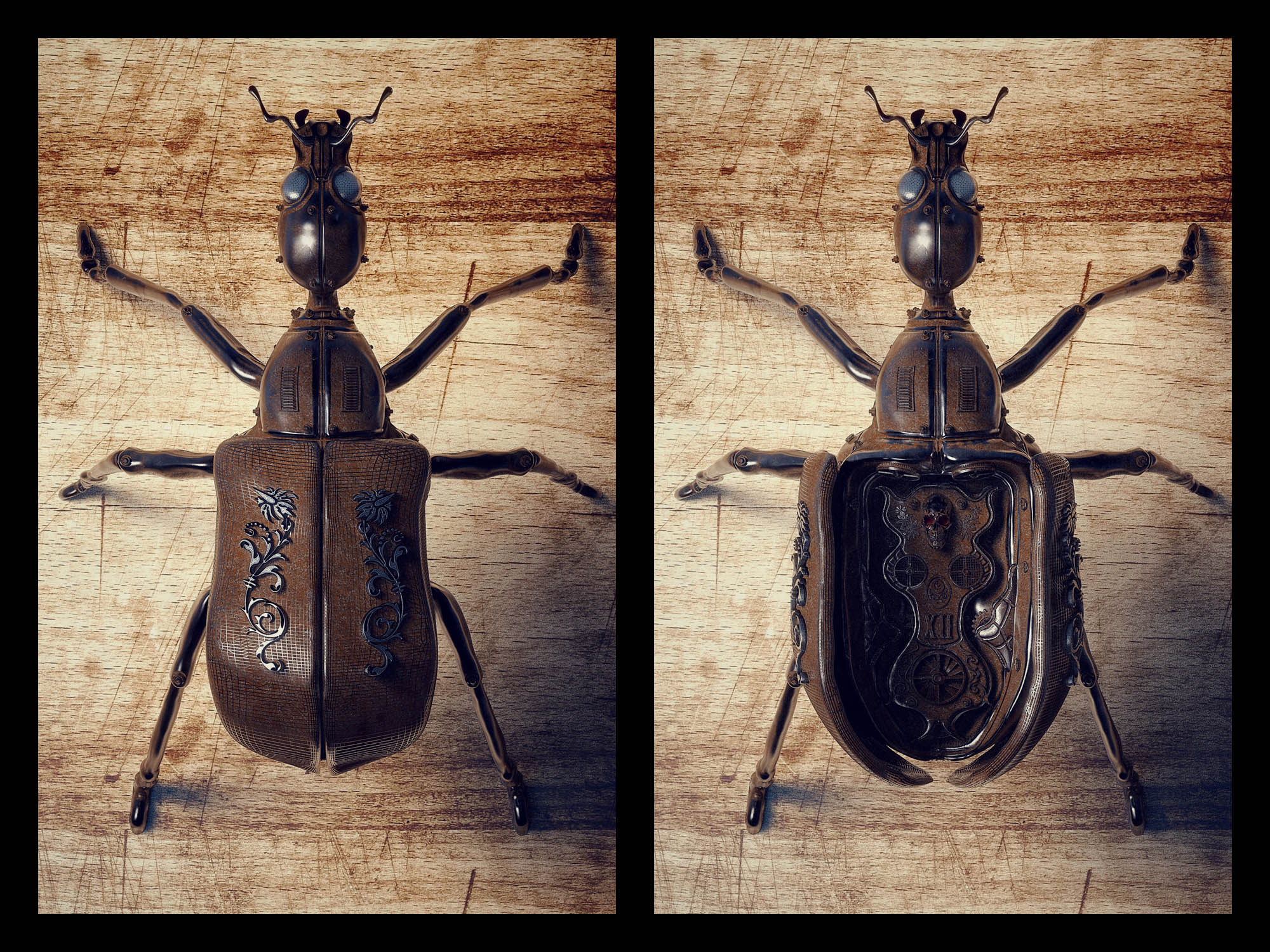 Bug closed open.jpg