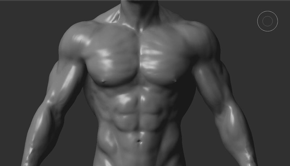 Torso.jpg