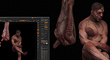 wipwip01-zb_T.jpg