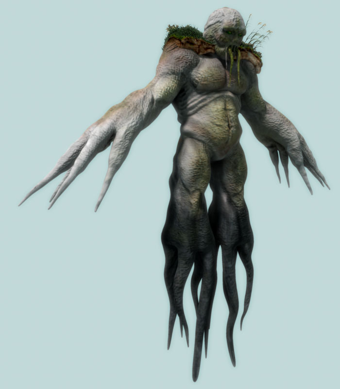 grass.jpg