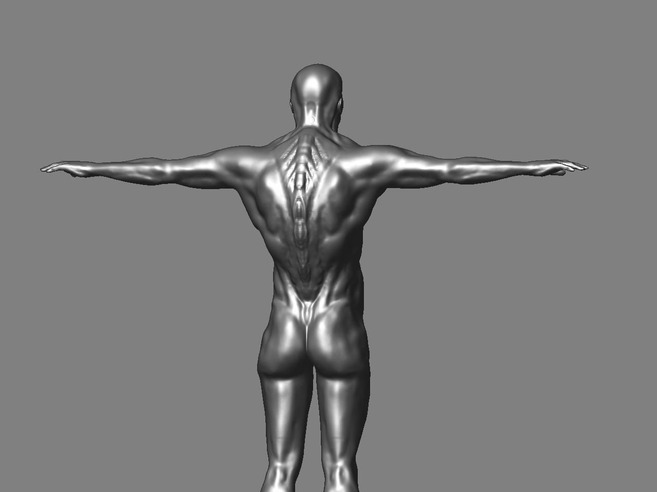 creature back.JPG