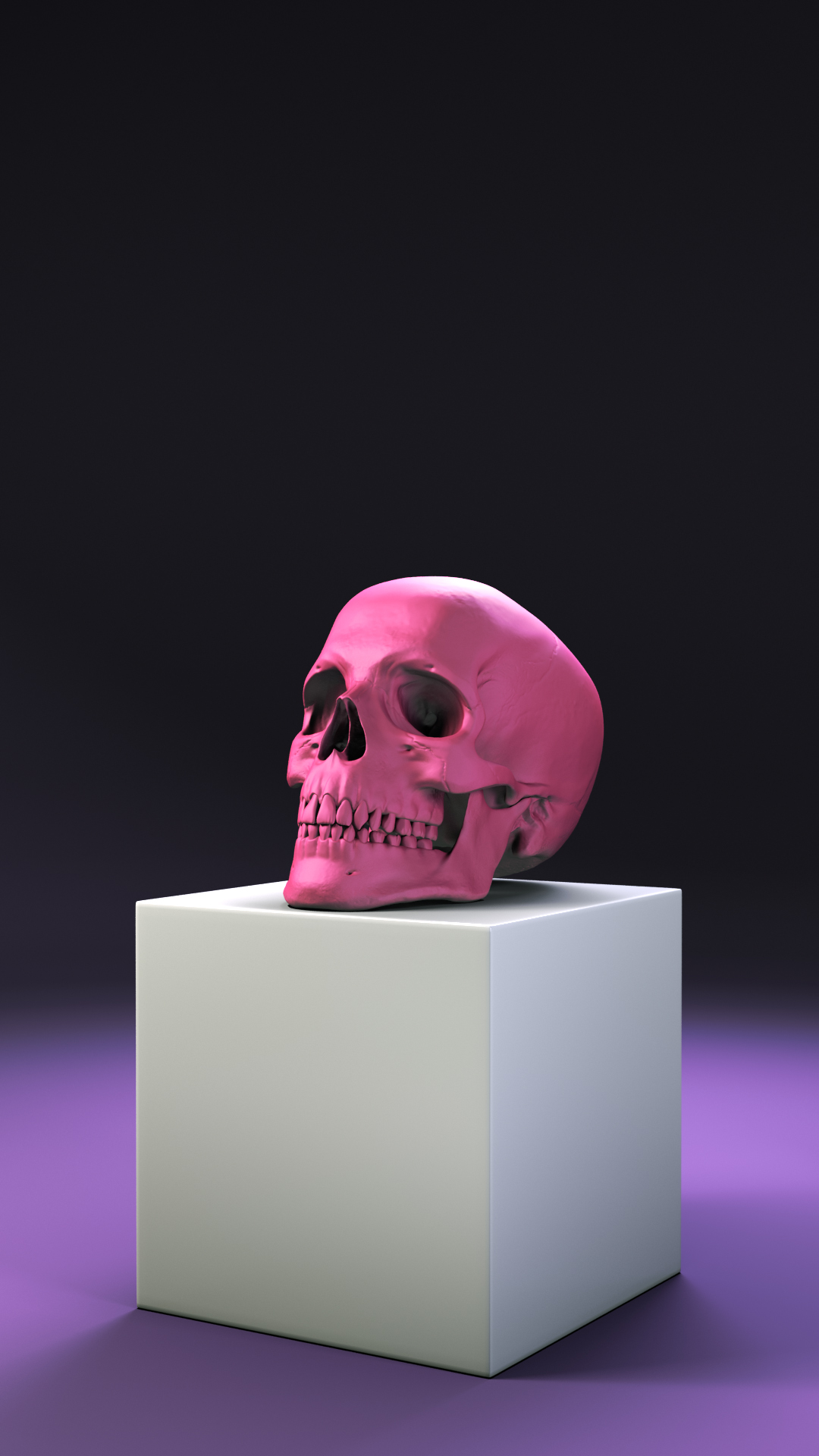 skull_box_small_V003.jpg