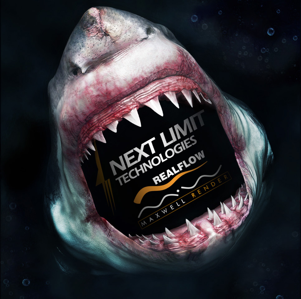 Bruce & Next Limit Logo.jpg
