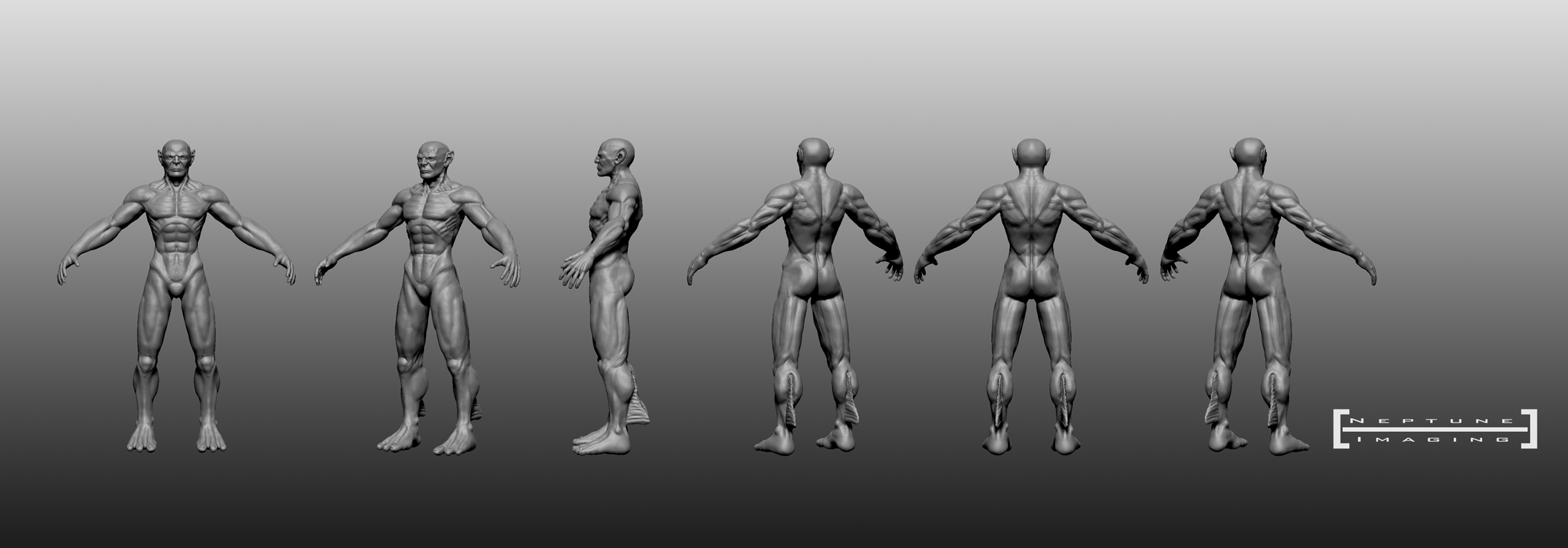 Trident-Anatomy-Update.jpg