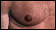 ZBshader-T-zb.jpg