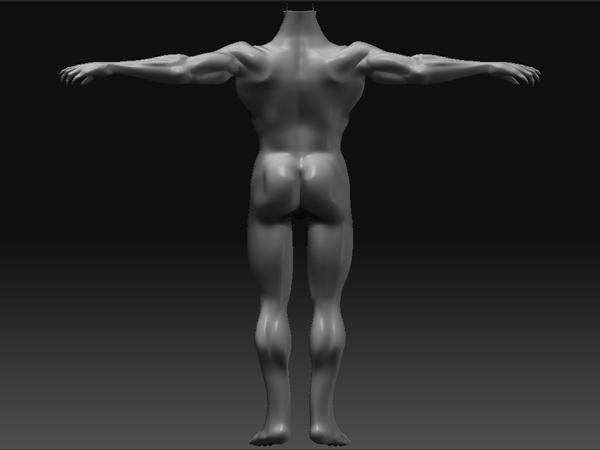 Bodyback.jpg