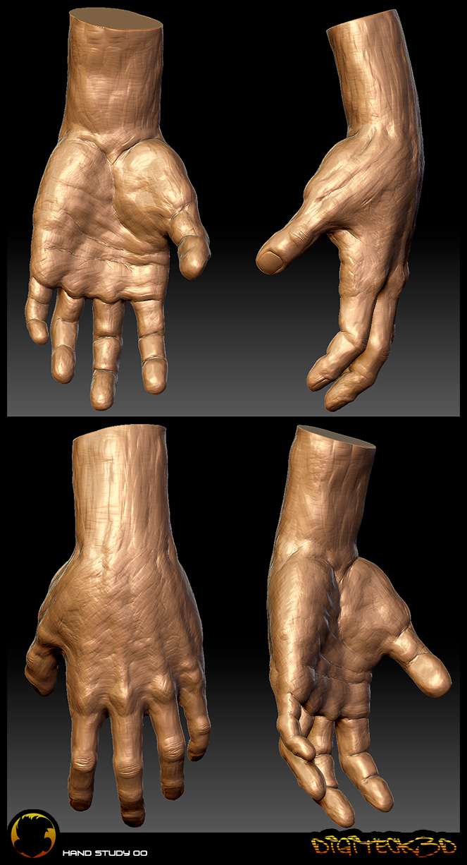 handStudy00.jpg