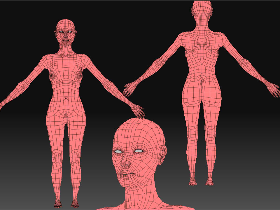 basewomanwires.jpg