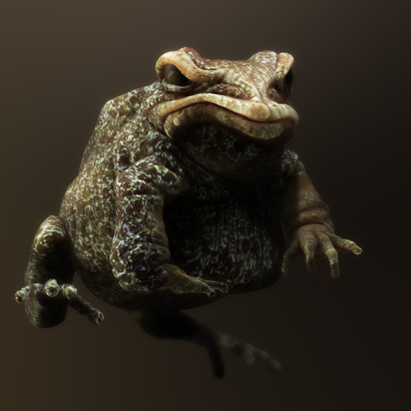 ToadNakedColour.jpg
