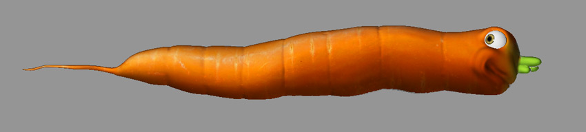 wortel.jpg