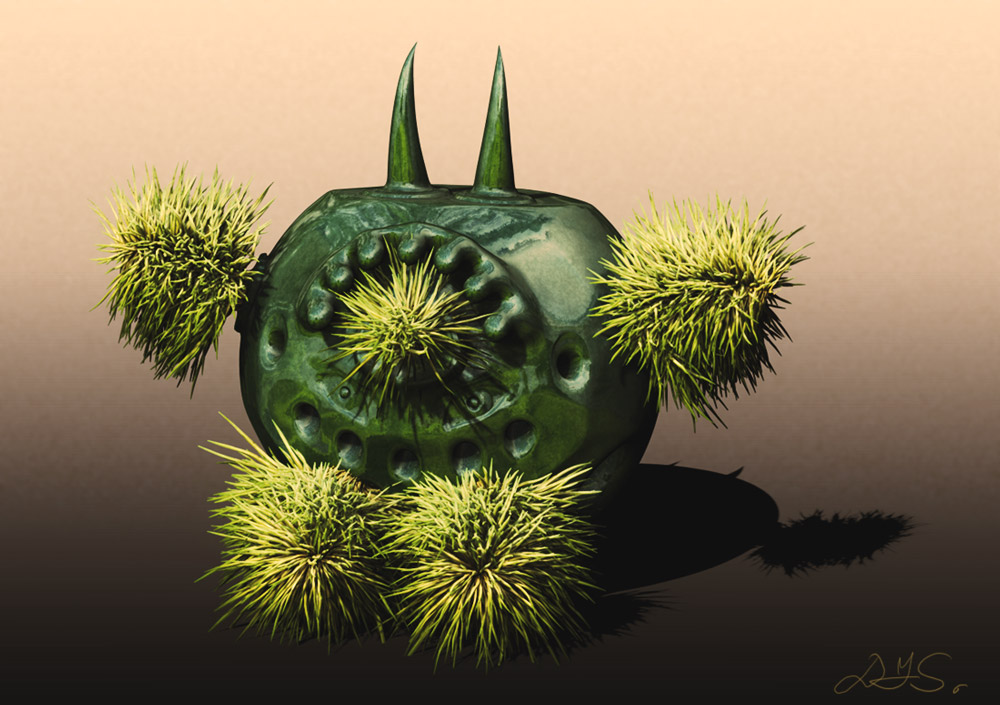 Desert-Plant-Pot.jpg