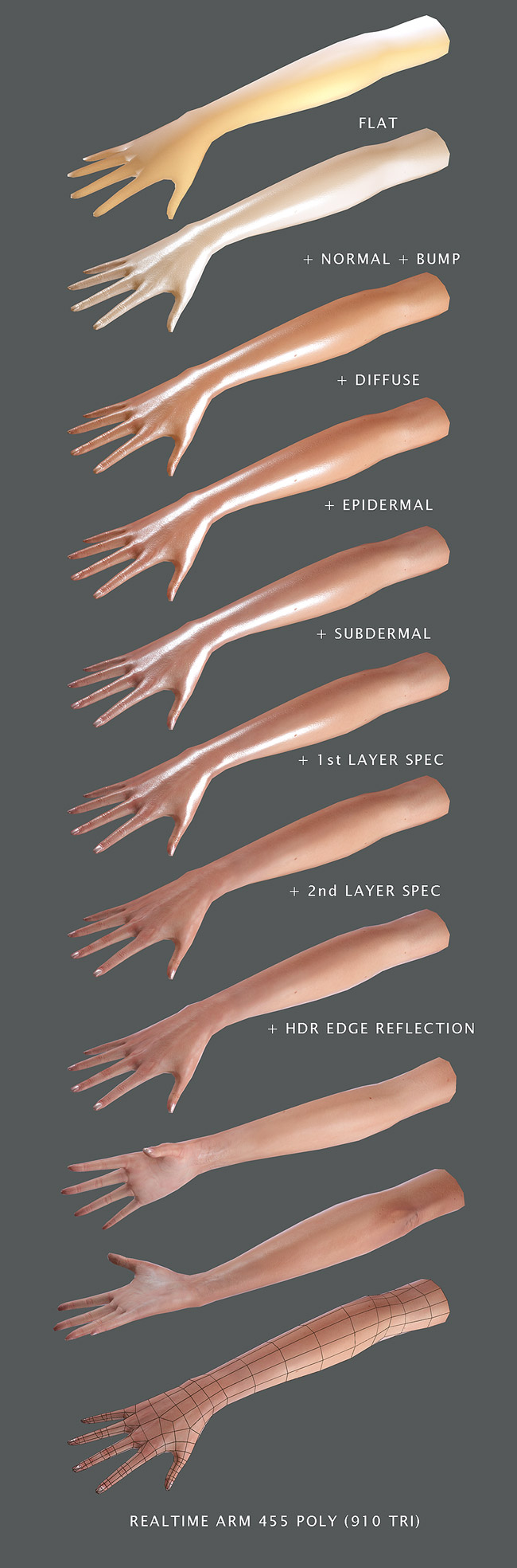 Female_Arm_Z.jpg