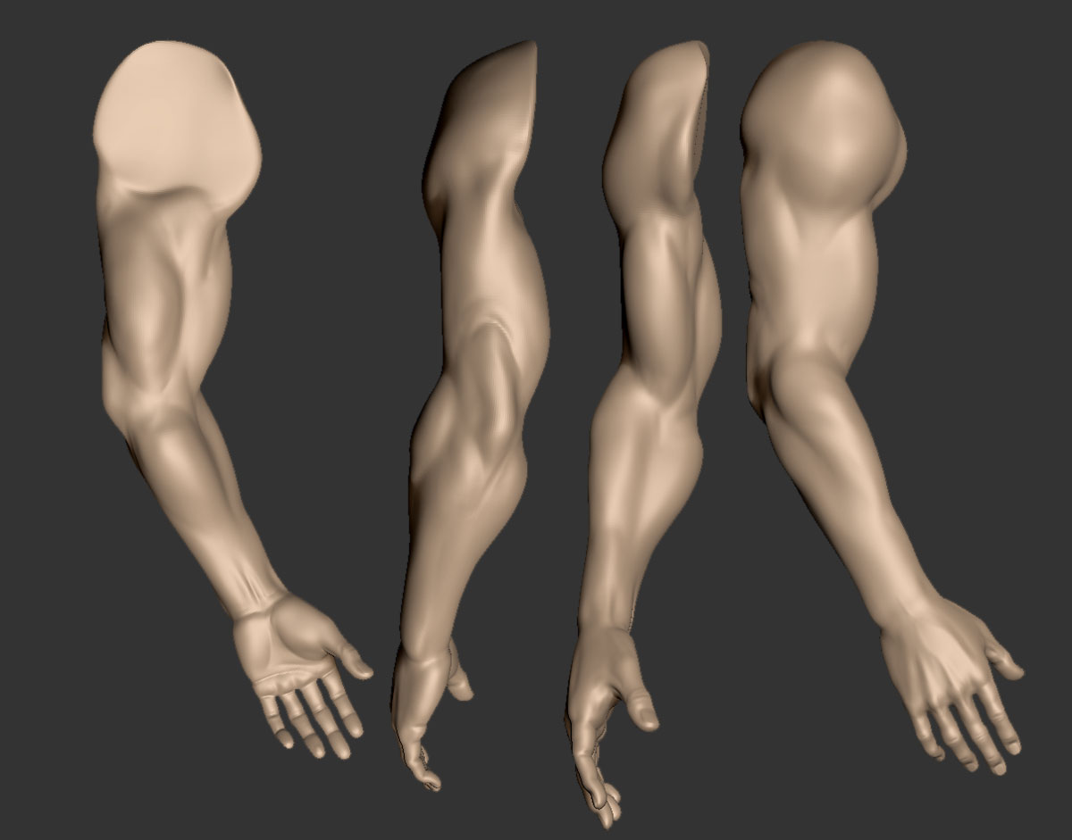 arm anatomy speed sculpting.jpg