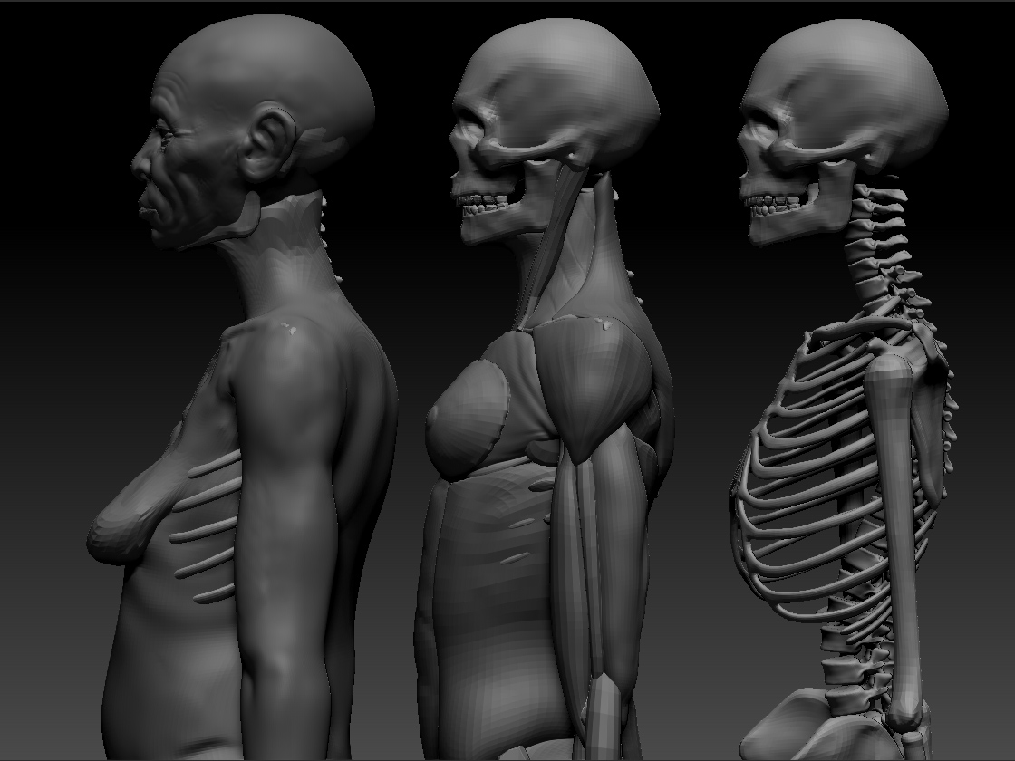 wip3.jpg